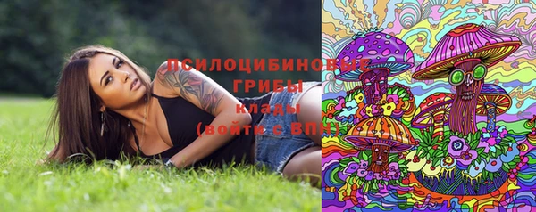стафф Белоозёрский