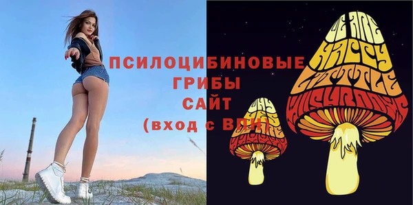 стафф Белоозёрский