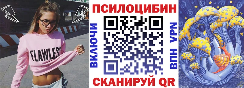 Галлюциногенные грибы ЛСД  ОМГ ОМГ ССЫЛКА  Котельнич  где купить наркоту 
